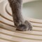 IRIS USA Top Entry Cat Litter Box Litter Particle Catching Cover and Privacy Walls with Scoop, Cat Pan